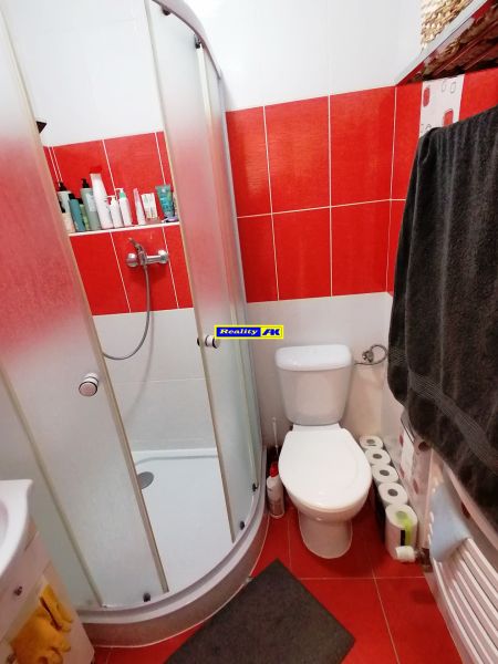 Fürdőszoba egy egyszobás lakásban piros csempékkel és zuhanyzóval.