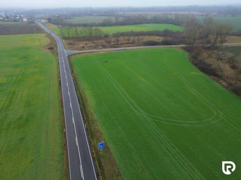 DJI_0651.jpg