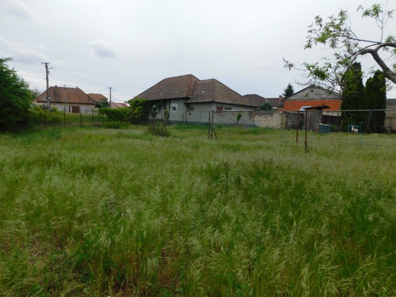 Záhrada s domom v pozadí, Pozemky - bývanie v Dvoroch nad Žitavou.