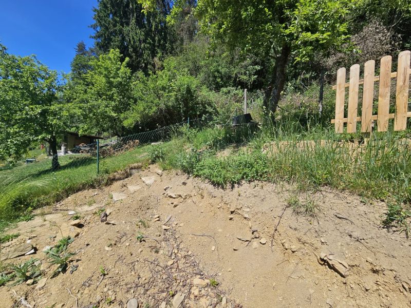 Meredek lejtő Budatínban a dombnál, a ház közelében, zöld növényzettel és fákkal körülvéve.