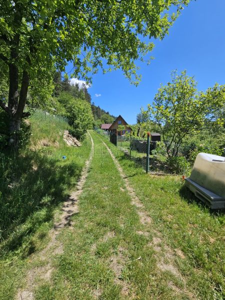 A zölddel körülvett út Budatínba vezet a házikóhoz.