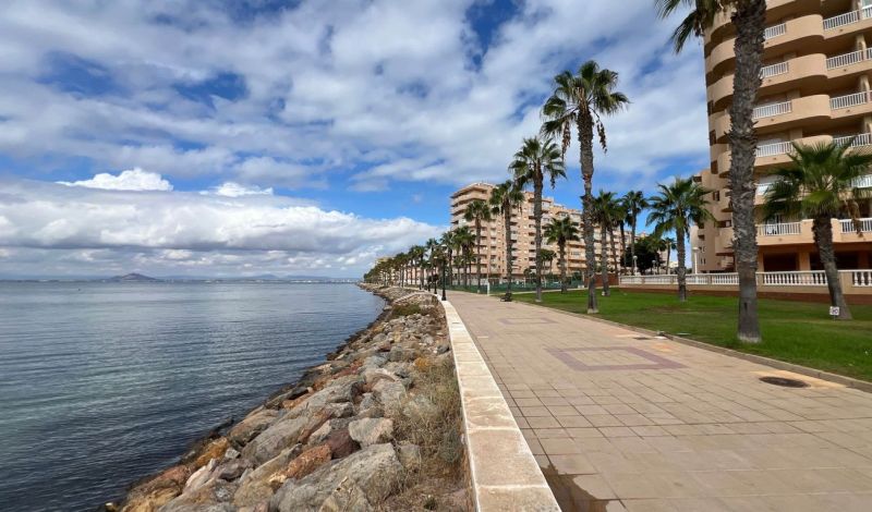 Tengerparti sétány pálmafákkal a La Manga del Mar Menor üdülőapartman közelében, Spanyolország.