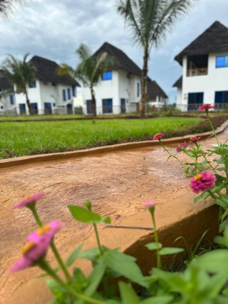 Családi házak Zanzibáron, pálmafákkal és színes virágokkal körülvéve a kertben.