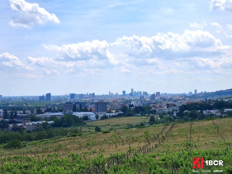 Szőlőskertek a Pozsonyi - Récsei Madárútban, panorámás kilátással a városra.
