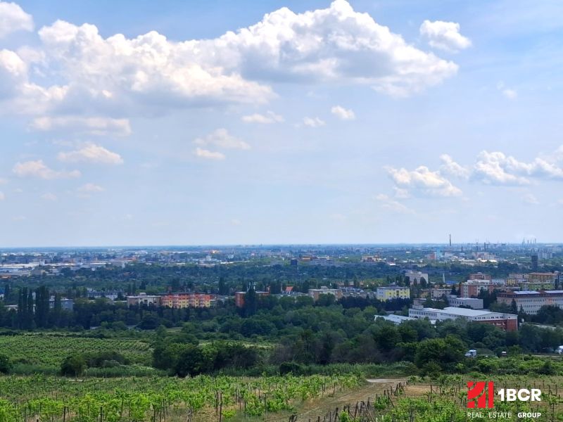 Kilátás a szőlőültetvényekről a Vtáčikova úton Pozsony-Račában a városra.