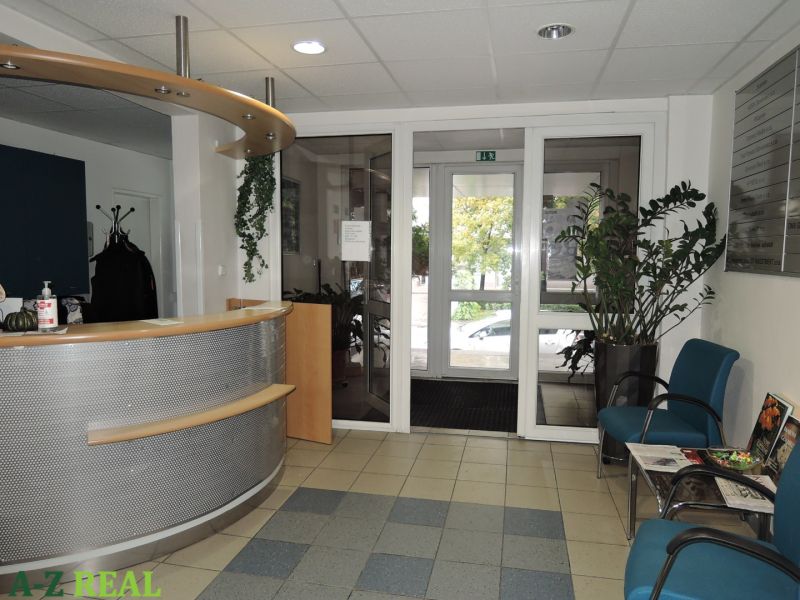Recepció fa dekorációval, ülőhelyekkel és növényekkel az irodákban.