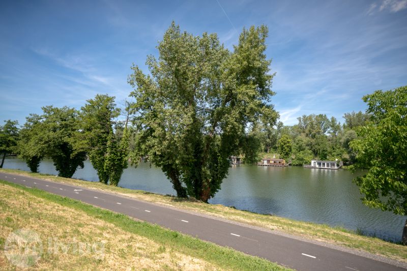 Út a folyó mentén hajókkal, zölddel körülvéve a Trenčín-i Švermova utcában.