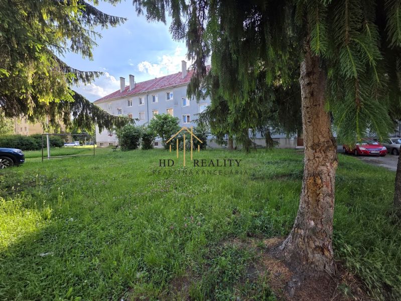 Füves udvar fenyőfákkal a Golianova utcai lakóház előtt Besztercebányán.