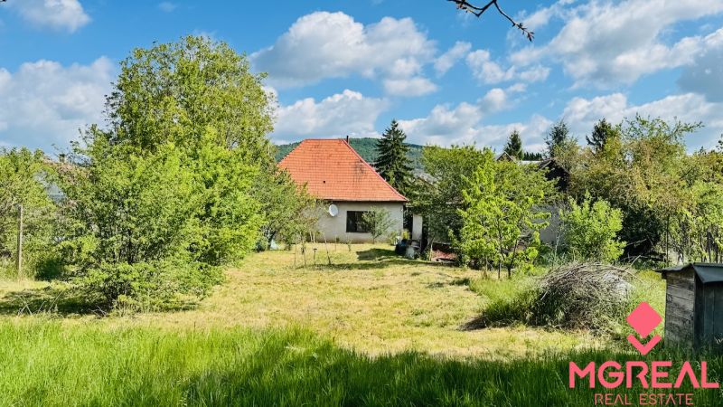 Családi ház Pažiten, fákkal és gyepel körülvéve, piros tetővel.