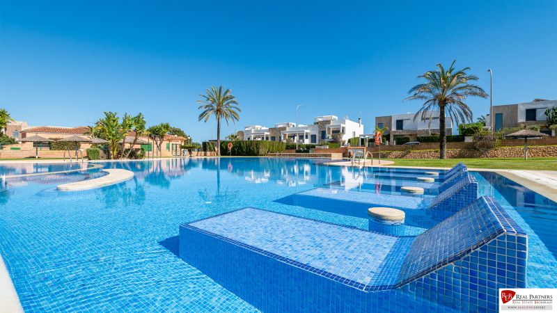 Medence a Cala Murada-i nyaraló apartman mellett Mallorcán, pálmafákkal és napozóágyakkal.