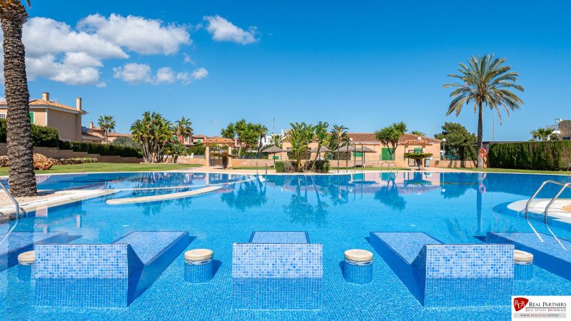Medencével körülvett pálmafák a Cala Murada Mallorca nyaraló apartmanban.