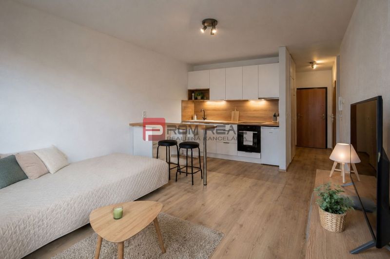 Nyaraló apartman fa hatású padlóval, kanapéval, konyhával és televízióval.