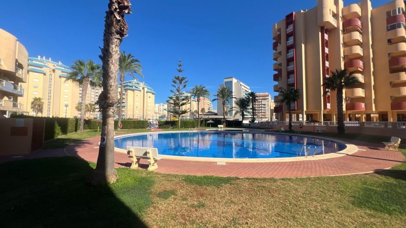 Egy zölddel és pálmafákkal körülvett medence La Manga del Mar Menorban egy üdülő apartmant képvisel.