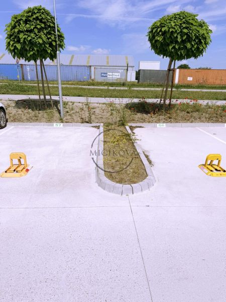 Parkoló fiatal fákkal és raktárakkal a háttérben Galántán, alkalmas 2 szobás lakásra.