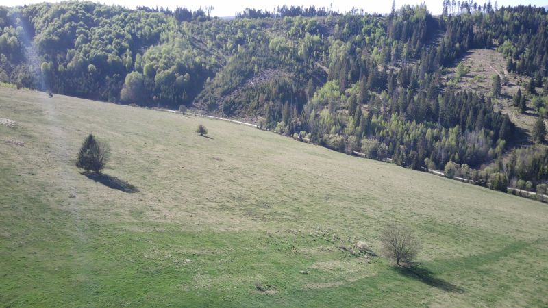 A Čierny Balog melletti mezőgazdasági és erdőterületek panorámája egyes fákkal.