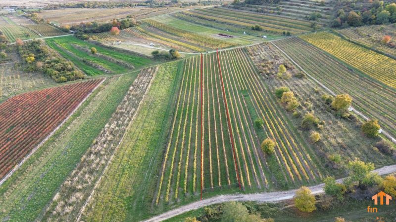 dji_fly_20251019_164546_194_1760885159500_photo.jpg
