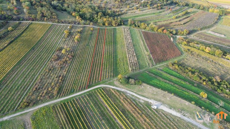 dji_fly_20251019_163708_174_1760884921351_photo.jpg