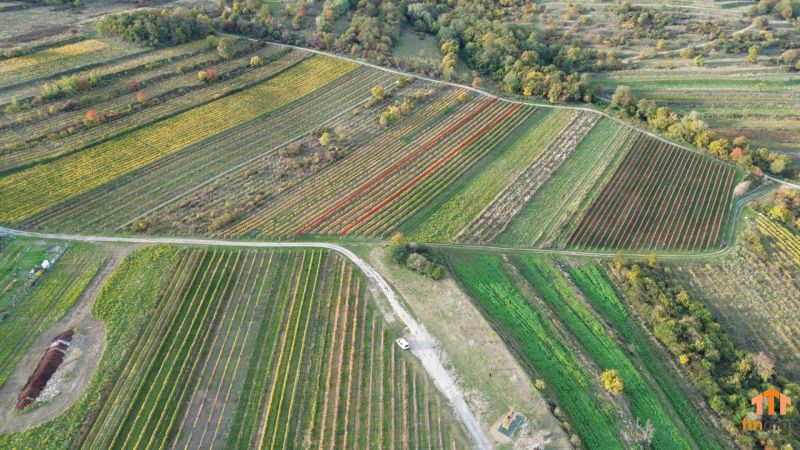 dji_fly_20251019_163802_179_1760884926301_photo.jpg