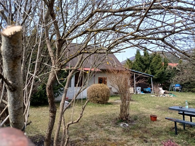 IMG_20260401_124557239_HDR.jpg