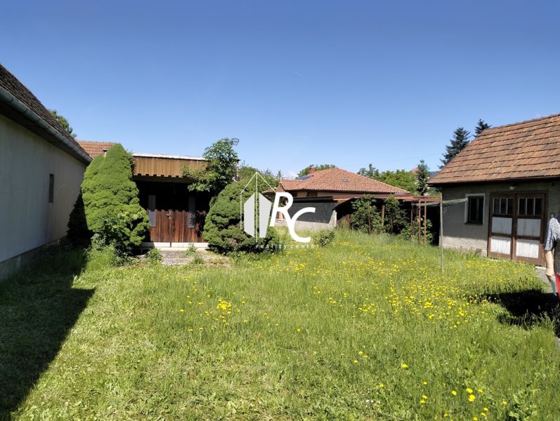 A Štúrova utcai családi házat pitypangos gyep veszi körül Sučanyban.