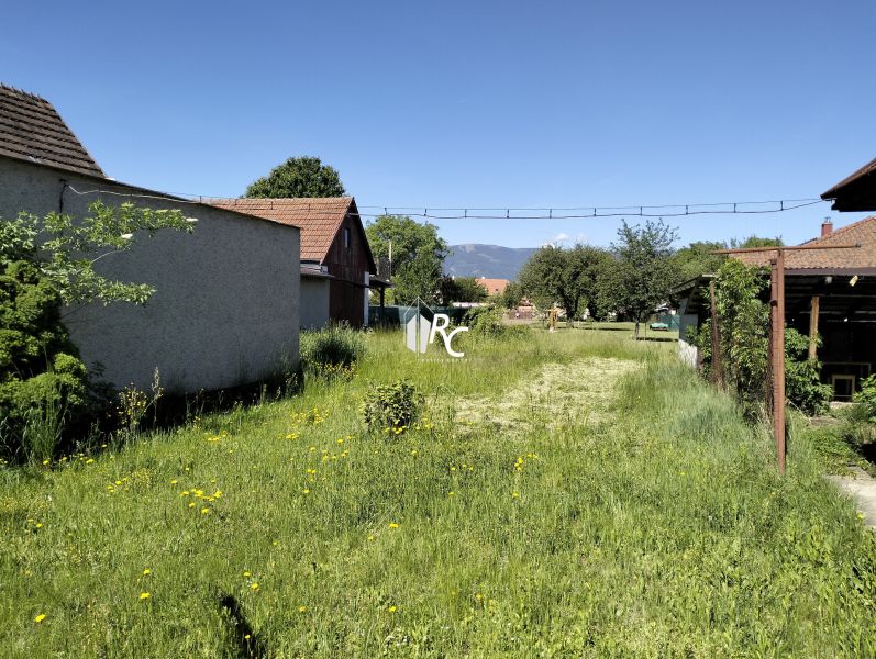 Családi ház kertje a Štúrova utcában, Sučanyban, fűvel és bokrokkal.