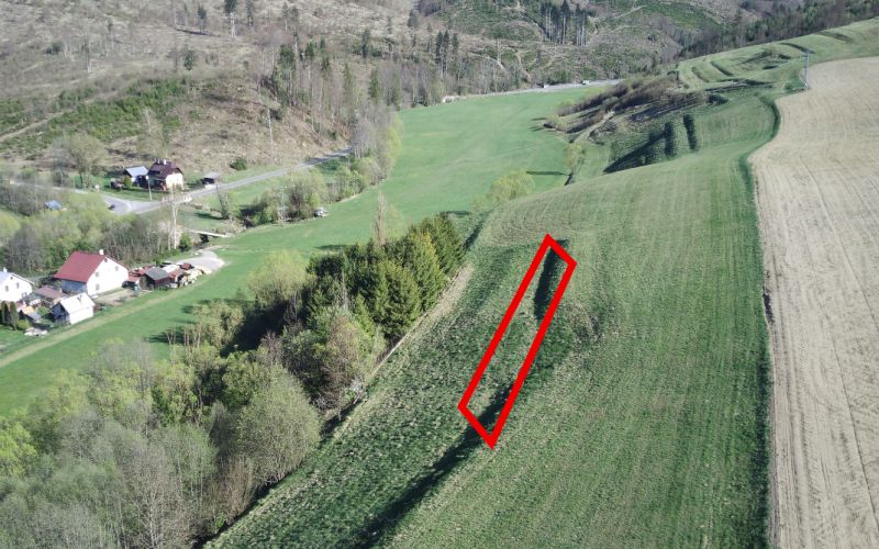 Fekete Balog mezőgazdasági és erdőterületein található rétek és erdők, amelyeket a táj vesz körül.
