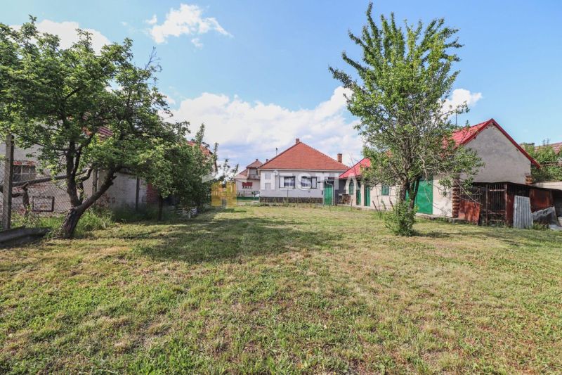Családi ház melletti telek Borsky Mikulášban gyepes és gyümölcsfákkal.