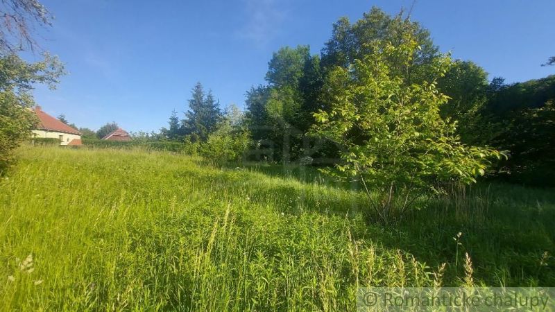 Zöld lakótelek Podkylaván, fákkal és kék éggel körülvéve.