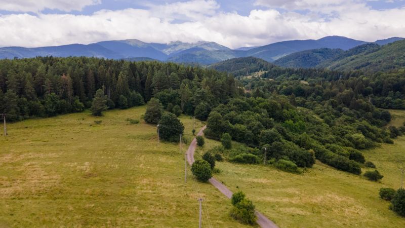 A Felsőlehota körüli természet erdőkkel és rétek közötti úttal.