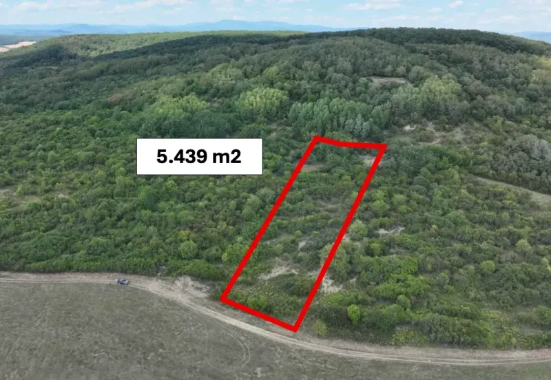 Mezőgazdasági és erdőterületek Tornalján, 5 439 m² területtel, zöldövezetben.