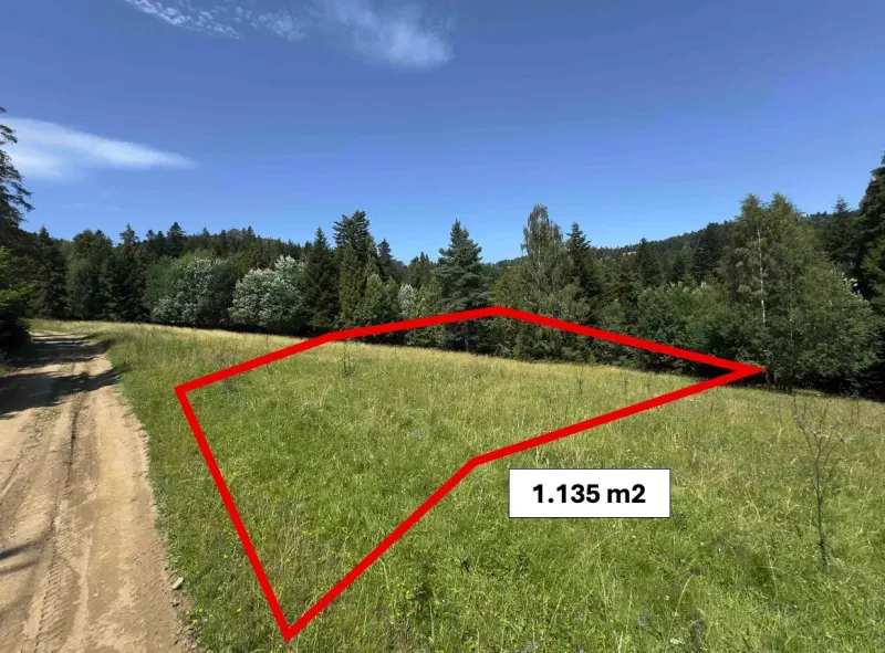 1 135 m²-es telek a természetben, különleges ingatlanok mellett Ólublón.