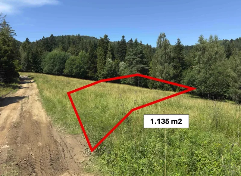 Erdő melletti telek Ólubló környékén, 1.135 m²-es megjelölt területtel, Különleges ingatlanok.