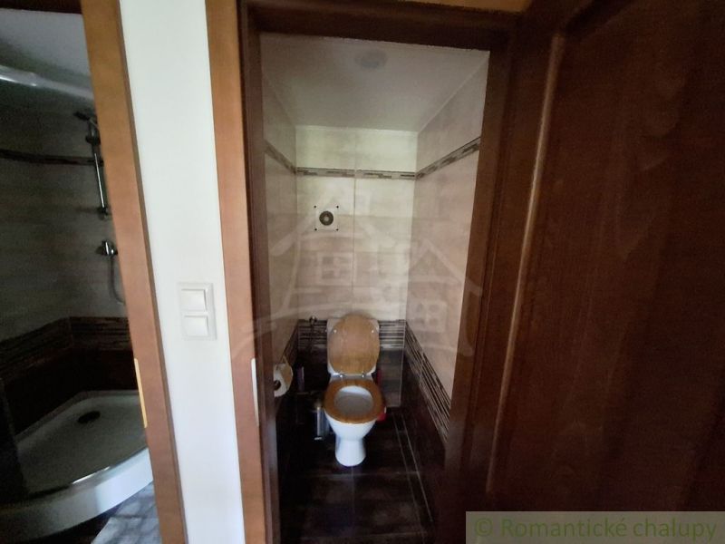 Fürdőszoba WC-vel és zuhanyzóval kereskedelmi helyiségekben.