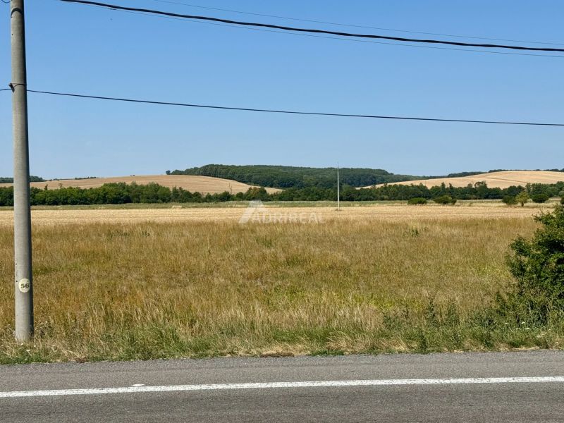 Telkek - lakóhely Hokovciban, kilátással a mezőkre és az erdőkre a háttérben.