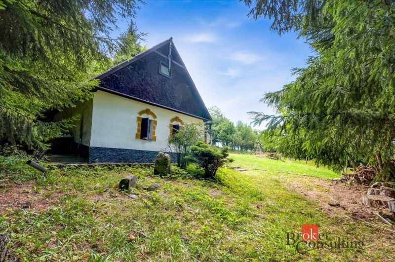 Házikó Pílán, zölddel és tűlevelű fákkal körülvéve, ideális a pihenésre.