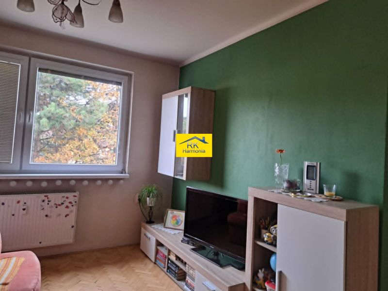 Nappali fa dekorációval, televízióval és zöld fallal egy kétszobás lakásban.