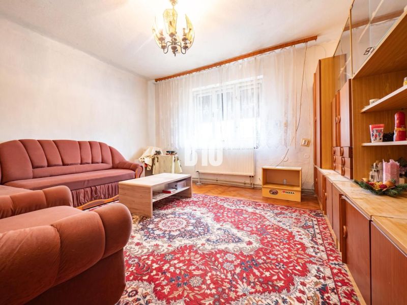 Nappali egy családi házban kanapéval, fotellel és szőnyeggel a fa dekorációjú padlón.