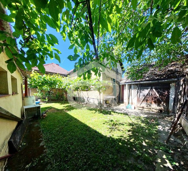 A családi ház kertje a Sládkovičova 135-ben, Aranyosmaróton, gyepes és fákkal.