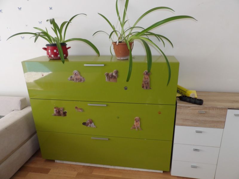 Zöld komód virágokkal és kutyás matricákkal, fa dekorációs padló, 2 szobás lakás.