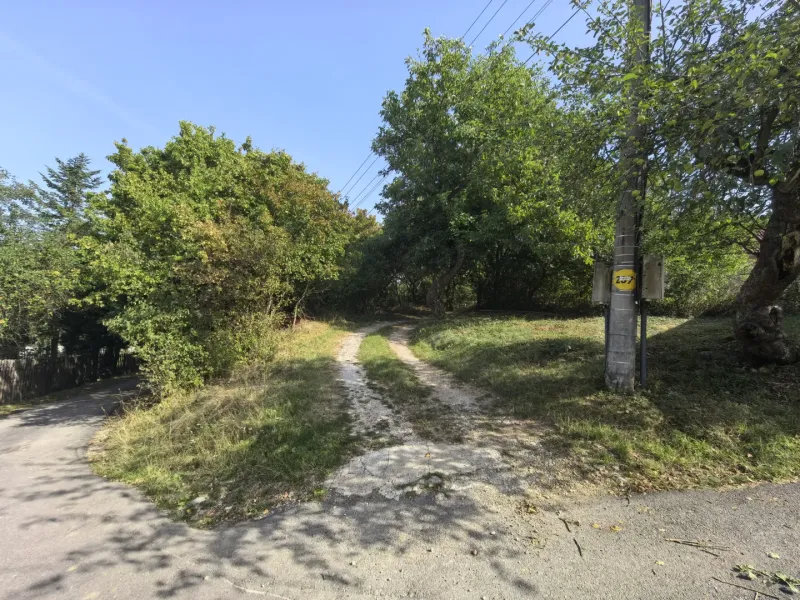 Látható elágazó ösvény a Kolačna kertekben, zölddel és villanyoszloppal körülvéve.