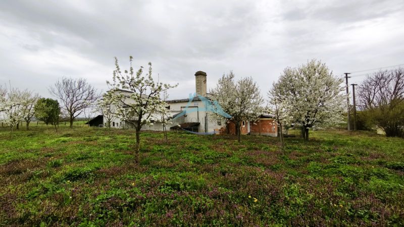Gyártóhelyiségek Leseniceben virágzó fákkal és zöld fűvel körülvéve.