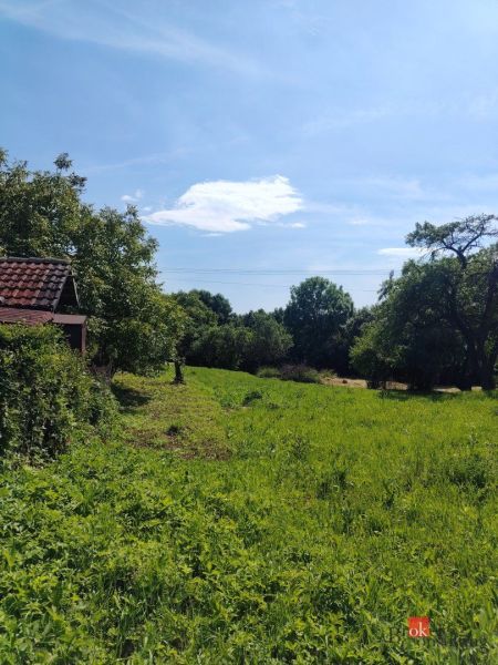 Zöld lakóterületek Zsehniben, fákkal körülvéve és kék ég alatt.