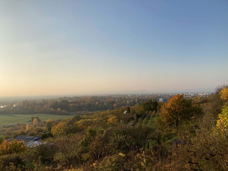 Őszi erdő és mezők panorámája Banka városra nézve.