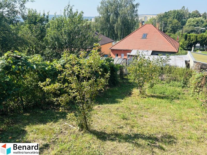 Családi ház kertje a Sabinovská utcában, Eperjesen, gyümölcsfákkal.