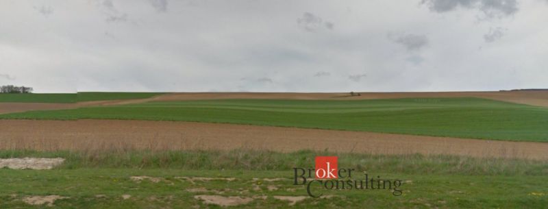 Kiterjedt zöld mezők Lužiankyban, lakóterületek számára alkalmasak.