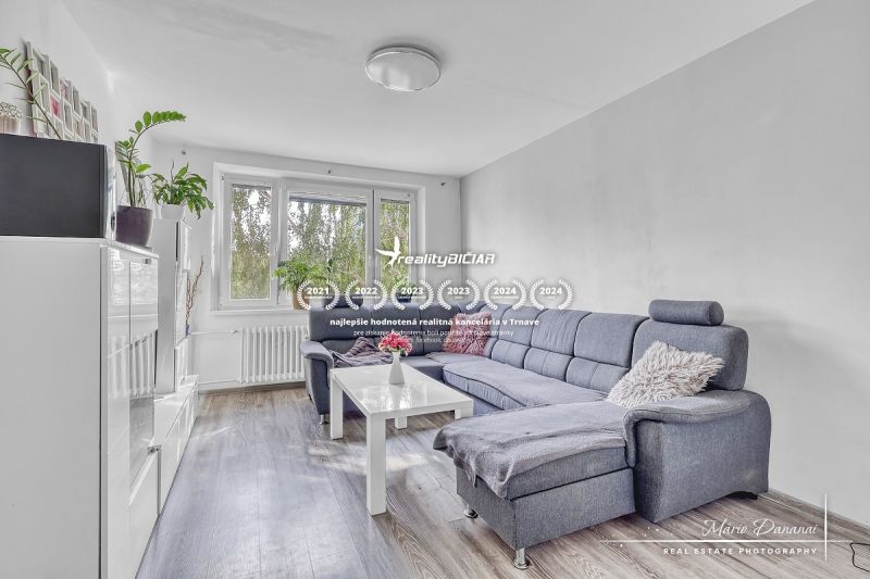 Nappali egy kétszobás lakásban kanapéval, fa mintázatú padlóval és növényekkel.