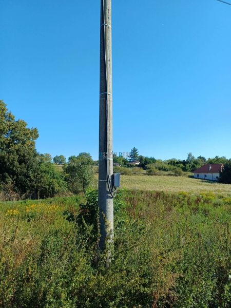Telefonoszlop egy lakótelekén a Fő utcán, Ceroviny, természet által körülvéve.