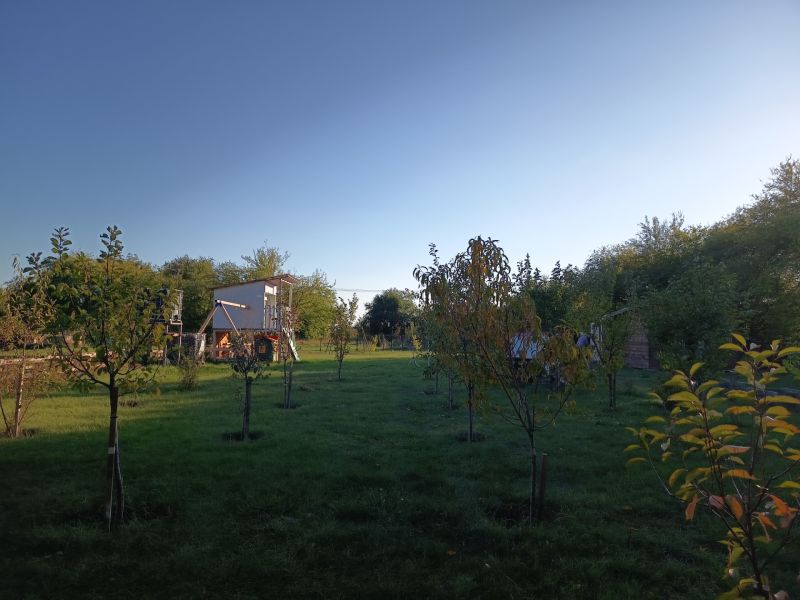 Gyep fákkal a kertekben a Tatranská 201, Aranyosmarót.
