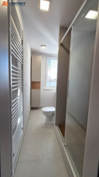 Fürdőszoba zuhanyzóval, WC-vel és modern radiátorral egy egyszobás lakásban.