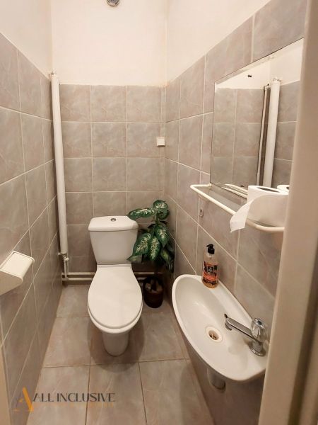 Két szobás lakás fürdőszobája csempékkel, mosdóval, WC-vel és dekoratív növénnyel.